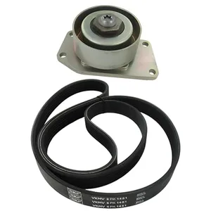 SKF Multiriem set pas cher