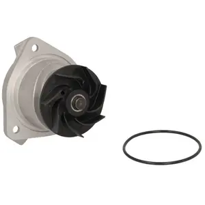 SKF Waterpomp pas cher