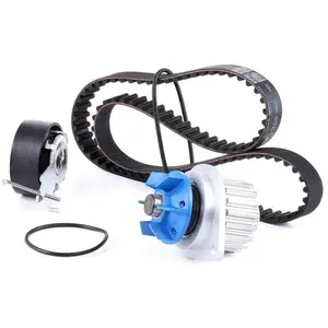 Comparateur de prix : SKF Waterpomp + distributieriemset