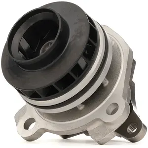 SKF Waterpomp pas cher