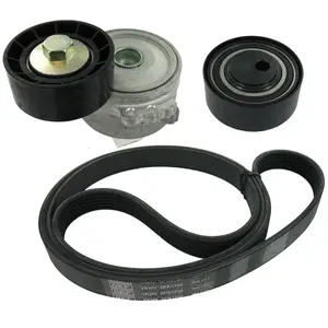SKF Multiriem set