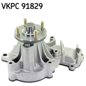 SKF Waterpomp pas cher