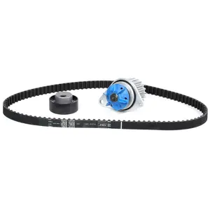 SKF Waterpomp + distributieriemset pas cher