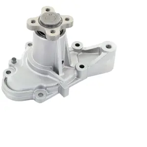SKF Waterpomp pas cher