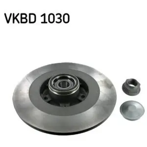 SKF Disques de frein pour RENAULT: Latitude (Ref: VKBD 1030)Vendu paroscaro