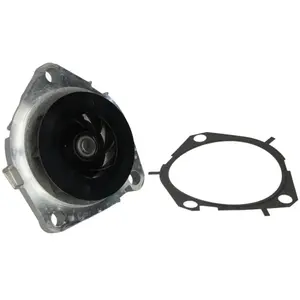 SKF Waterpomp pas cher