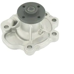 SKF Waterpomp pas cher