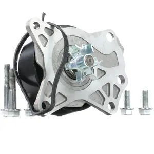 SKF Waterpomp pas cher