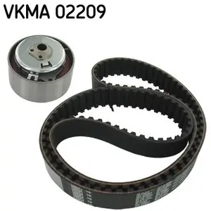 SKF Distributieriemset