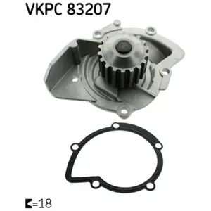 SKF Waterpomp pas cher