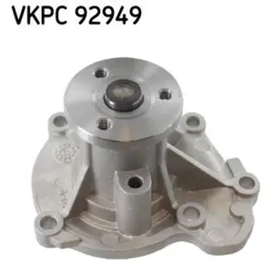 SKF Waterpomp pas cher