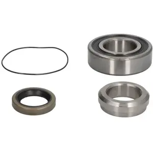 SKF Wiellager pas cher