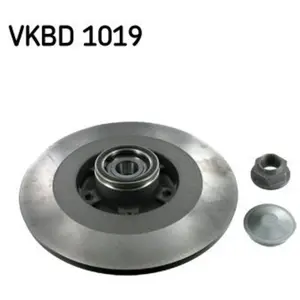 SKF Disques de frein pour RENAULT: Laguna (Ref: VKBD 1019)Vendu paroscaro