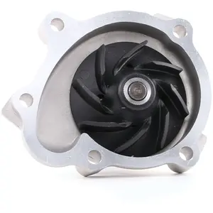 SKF Waterpomp pas cher