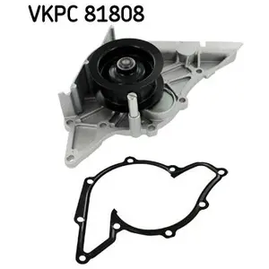 SKF Waterpomp pas cher