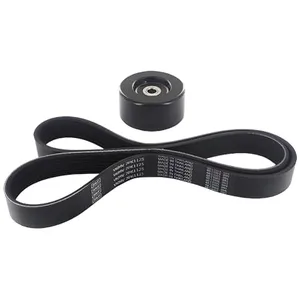 SKF Kit de courroie d'accessoire pour NISSAN: Juke (Ref: VKMA 62130)Vendu paroscaro