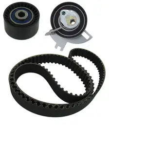 Distributieriemset VKMA03317 SKF