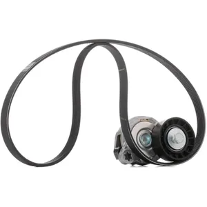 Multi-v Kit Volvo VKMA36244 SKF