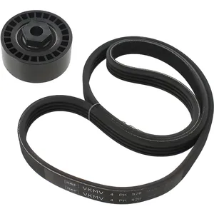 Multi-v Kit Dacia Nissan Proton Renault VKMA36060 SKF pas cher
