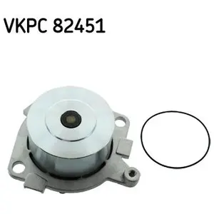 SKF Waterpomp pas cher