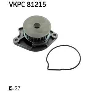 SKF Waterpomp pas cher