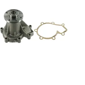 SKF Waterpomp pas cher