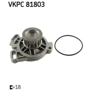SKF Waterpomp pas cher