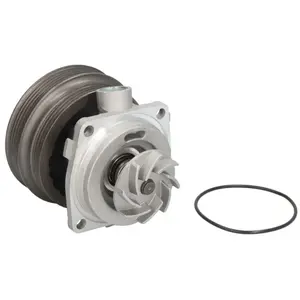 SKF Waterpomp pas cher