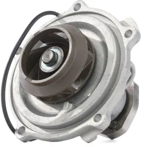 SKF Waterpomp pas cher