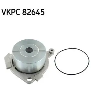 SKF Waterpomp pas cher