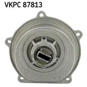 SKF Waterpomp pas cher