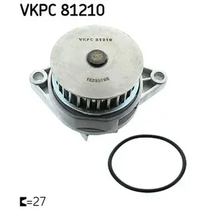 SKF Waterpomp pas cher