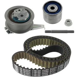 Distributieriemset VKMA01350 SKF