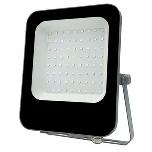 Projecteur Extérieur led 50W IP65 Noir - Blanc Froid Silumen pas cher