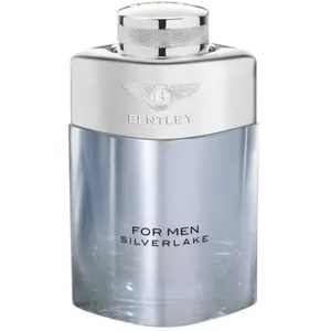 Bentley Silverlake Eau de parfum pour homme 100 ml pas cher