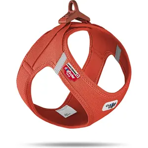 Curli Clasp Air-Mesh Harnais pour chien, orange (Sun), taille M pas cher