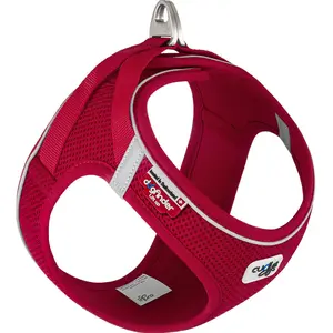 Curli Magnetisch Vest Harnas Air-Mesh V2 Rood XS pas cher