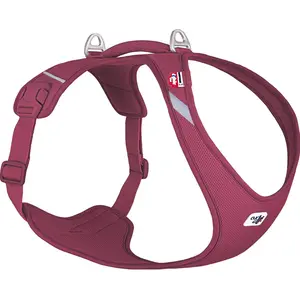 Curli Belka Comfort Harnais pour chien All New Rosa 4XL (4XL, Chien, Général), Collier + laisse pas cher