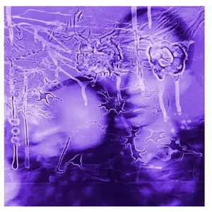 I Got A Song It’s Gonna Make Us Millions Vinyle Violet Transparent pas cher