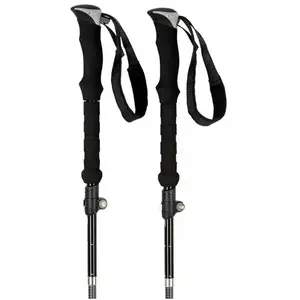 Nitro Bâtons Foldable Alu Splitboard