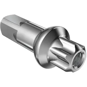 Dt Swiss écrou De Rayon De Vélo Squorx Pro Head Pro Lock Nickel Plated 100 UnitésVendu parbikeinn