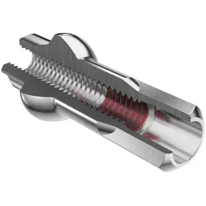 Dt Swiss écrou De Rayon De Vélo Squorx Pro Head Pro Lock Anodized 100 UnitésVendu parbikeinn