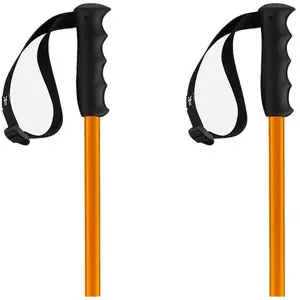 Faction Skis Bâtons Prodigy pas cher