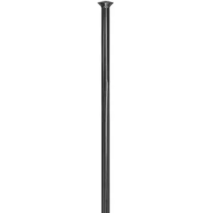 Dt Swiss Rayons Complite Sp 100 Unités pas cher