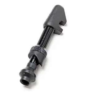 Dt Swiss Valve Tubeless Road Asymmetric Presta pas cher