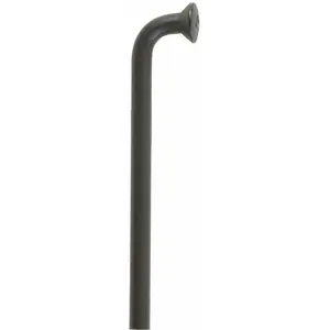 Dt Swiss Rayons Champion M 100 Unités pas cher