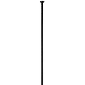 Rayon Droit Dt Swiss Competition Straight Pull 2.0x1.8x2.0x307 Mm pas cher