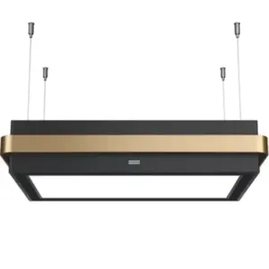 Hotte décorative îlot FRANKE 463231Vendu parboulanger
