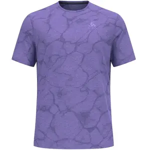 Odlo, Hommes, T-shirt fonctionnel, Zeroweight Engineered Chill-Tec Laufshirt (S), Gris, S pas cher