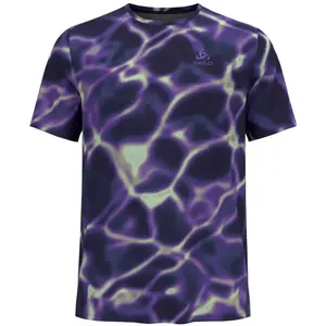 Comparateur de prix : Odlo, Hommes, T-shirt fonctionnel, Zeroweight Chil Tec Print (L), Viol...